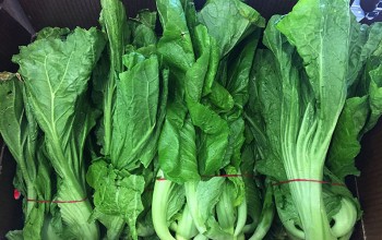 मासुभन्दा महंगो हरियो सागपात, एक मुठा रायोकै ७० रुपैयाँसम्म तिर्न बाध्य