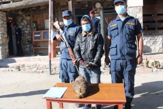 संरक्षित पञ्छी डाँफेसहित एक जना पक्राउ