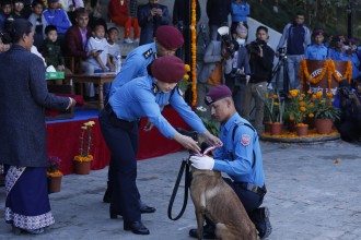 प्रहरीका पप्पी, रुरु र रिया उत्कृष्ट कुकुर घोषित (फोटोहरु)