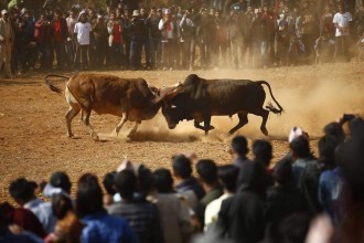 गोरू जुधाइमा कांग्रेस प्रवक्ताले भने- कांग्रेस सत्तामा फर्किन्छ