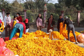 लाखौँ विदेशिए, शटर खाली भए, फूल बिकेन