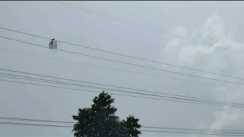 प्रसारण लाइनमा चढेको व्यक्तिलाई ओराल्न हेलिकप्टरबाट रेञ्जर टोली अवतरण