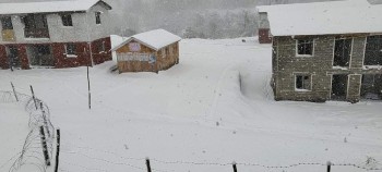 मनाङमा भेडीगाेठ गएका आच्यो गुरुङ फर्किएनन् घर, हिमपहिरोमा परेकाे आशङ्का