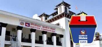 कुन दलका कसले कहाँकहाँ जिते? (पालिका प्रमुखहरुको नामावली)