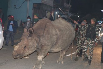 लुरुलुरु आयो गैँडा महाधिवेशन स्थलमा