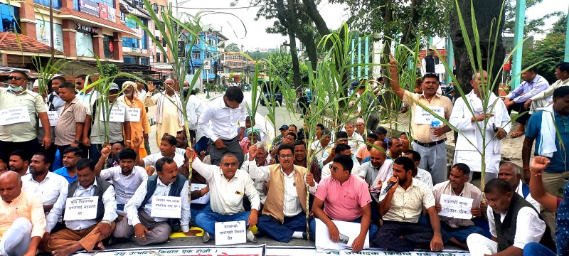 उखु किसानको माइतीघर धर्ना- “सरकारले हाम्रो पसिनाको मूल्य घटायो”